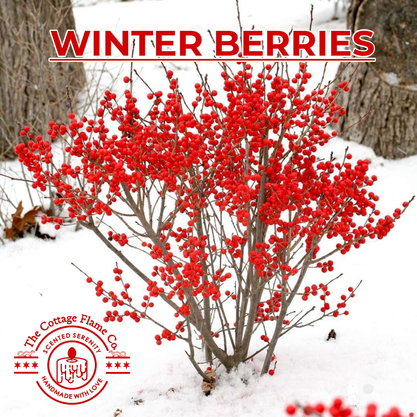 Winter Berries Candle 9CL | 30CL | 50CL
