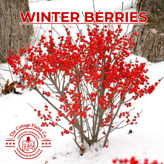 Winter Berries Candle 9CL | 30CL | 50CL