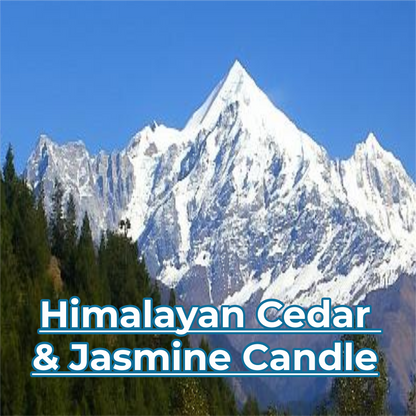 Himalayan Cedar & Jasmine Candle
