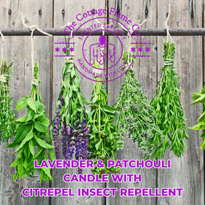 Lavender & Patchouli Citrepel Candle
