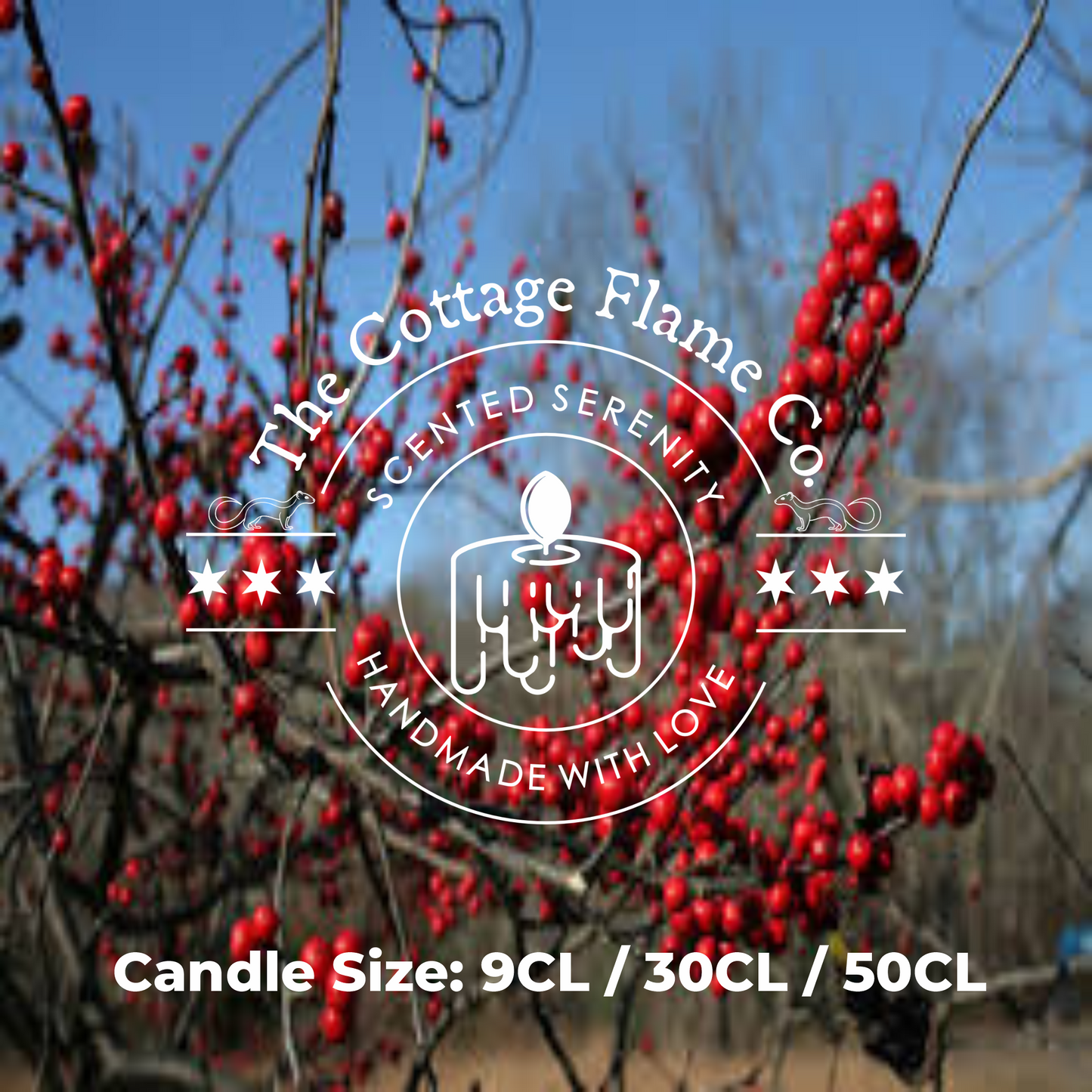 Winter Berries Candle 9CL | 30CL | 50CL
