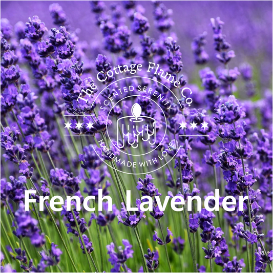 French Lavender Candle (Floral Calm)