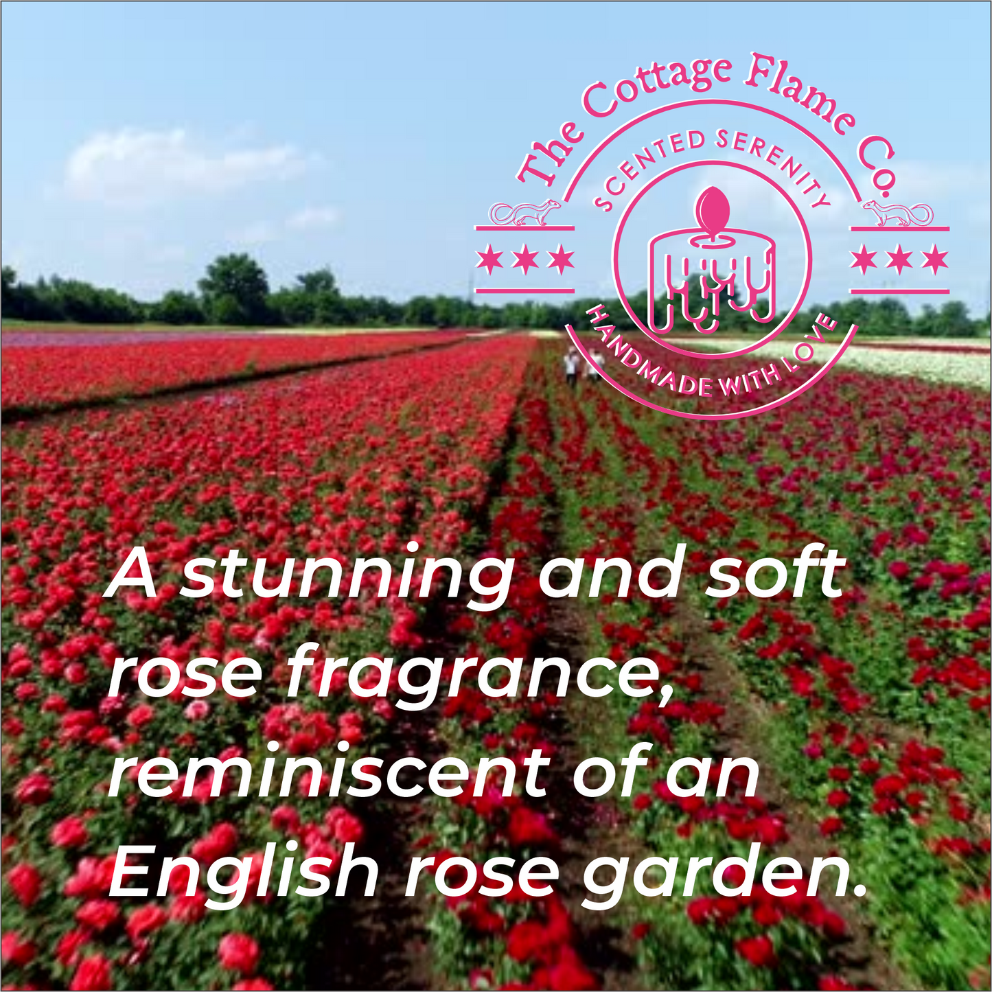 English Rose Candle
