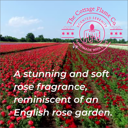 English Rose Candle